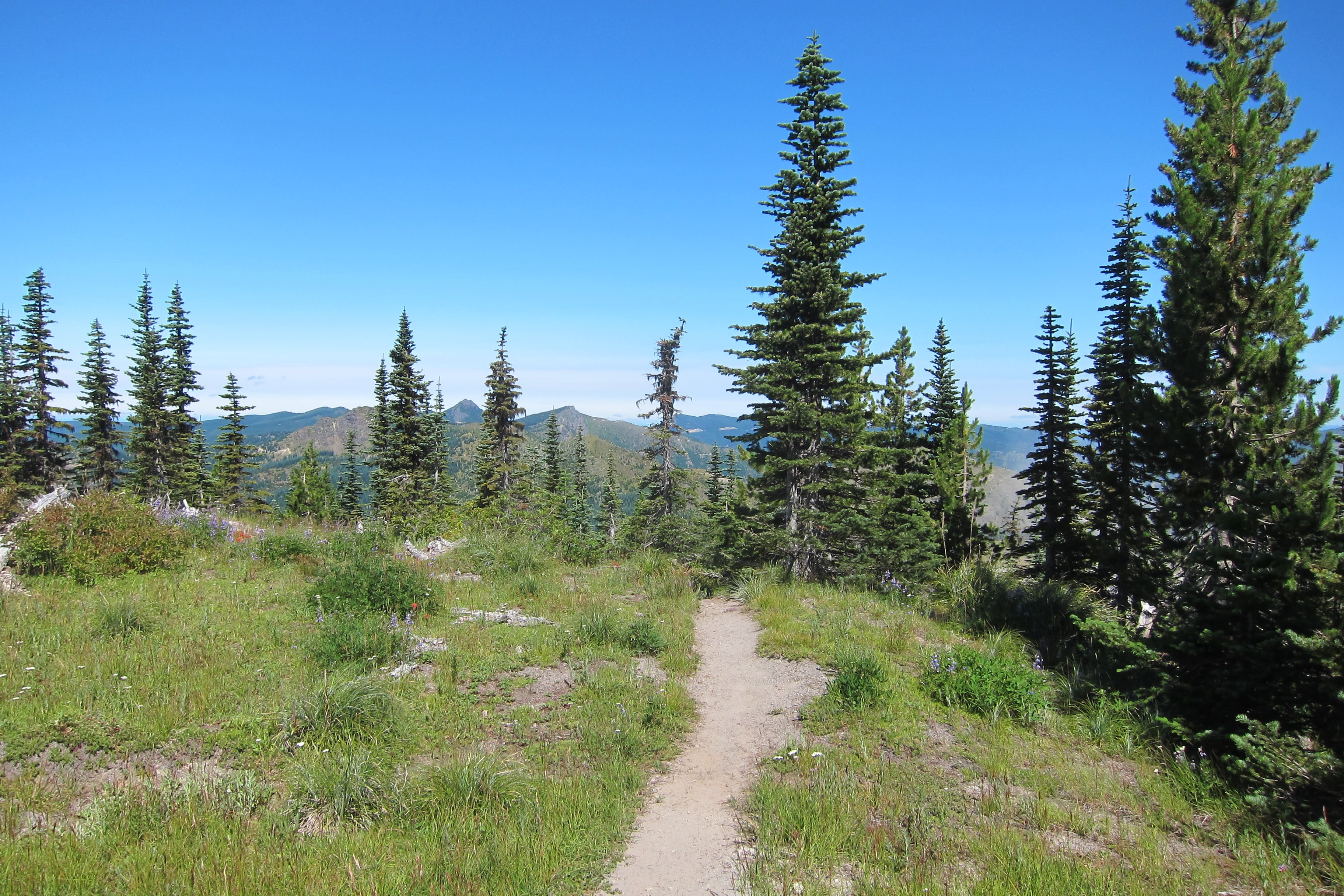 Trail